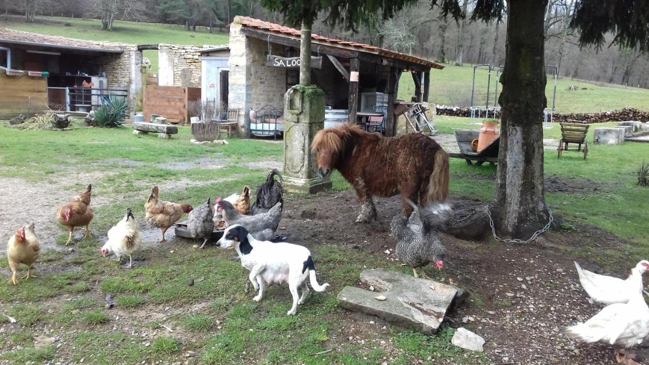 Domaine De Fontenelay Gezier-et-Fontenelay Ruang foto